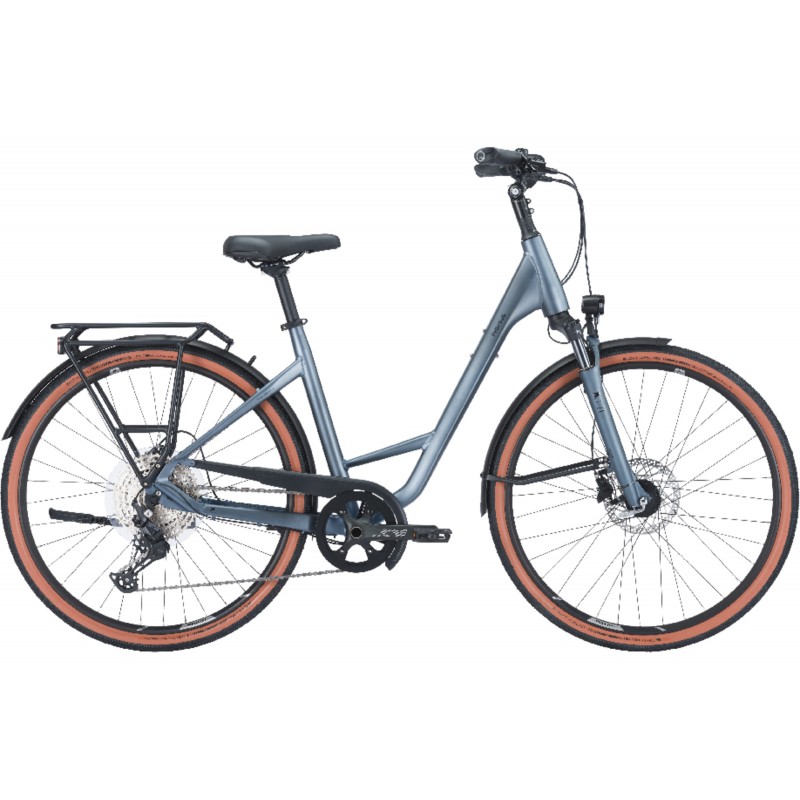 Pegasus Premio SL Disc 12 metallic grey