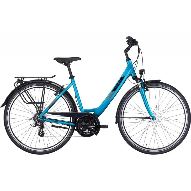 Achat Pegasus Solero SL 24 chrome essence -Val de Loire Vélo Tours