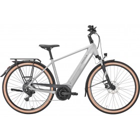 Pegasus Solero Evo 9 500wh homme gris