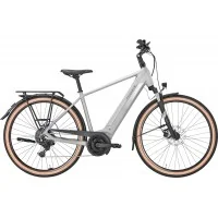 Achat Pegasus Solero Evo 9 500wh homme gris -Val de Loire Vélo Tours