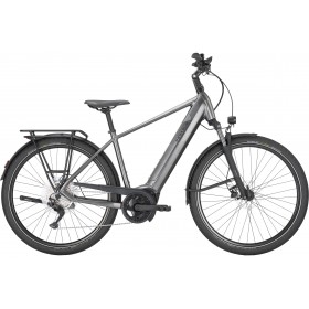 Pegasus Premio Evo 10 750wh homme chrome noir mat