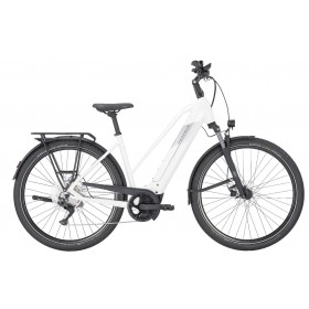 Pegasus Premio Evo 10 750wh trapèze métallique blanc cassé mat