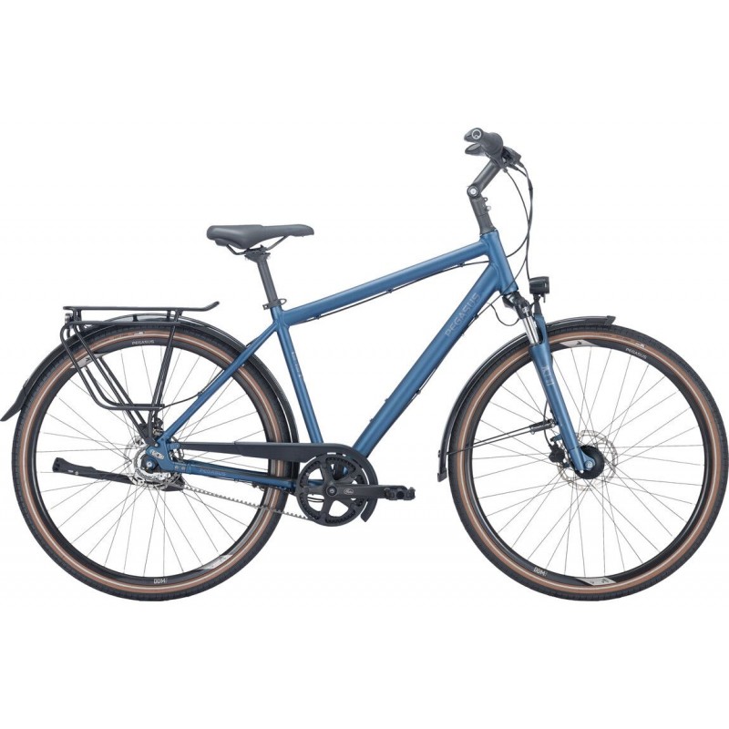 Pegasus Savona SL Belt 7 essence foncé