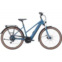 Achat Pegasus Premio Evo 9 500wh trapèze essence foncée -Val de Loire Vélo Tours