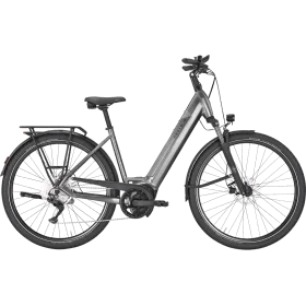 Achat Pegasus Pemio Evo 10 Wave Chrome 750wh -Val de Loire Vélo Tours