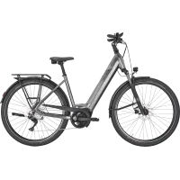 Achat Pegasus Pemio Evo 10 Wave Chrome 750wh -Val de Loire Vélo Tours