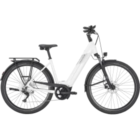 Achat Pegasus Pemio Evo 10 Wave Blanc 750wh -Val de Loire Vélo Tours