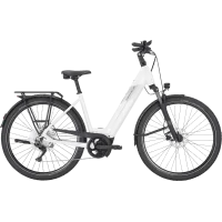 Achat Pegasus Pemio Evo 10 Wave Blanc 750wh -Val de Loire Vélo Tours