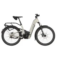 Achat Riese & Muller Homage5 Pinion Champagne -Val de Loire Vélo Tours