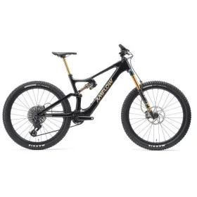Achat Amflow PL Carbon Pro 800 Wh -Val de Loire Vélo Tours