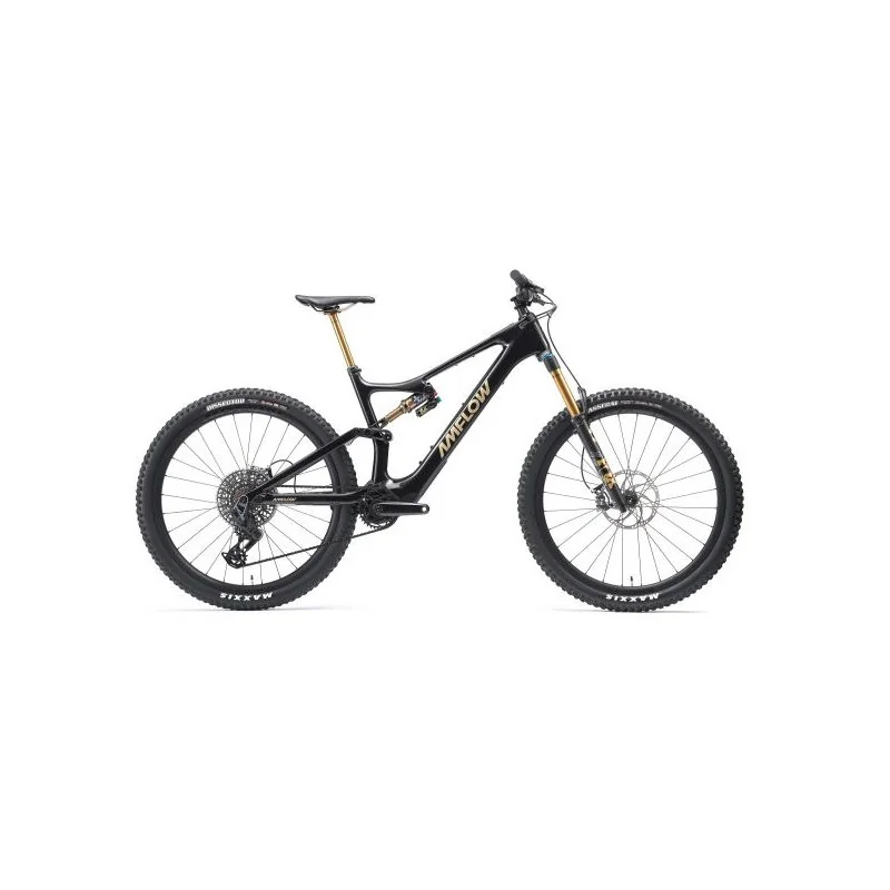 Achat Amflow PL Carbon Pro 800 Wh -Val de Loire Vélo Tours