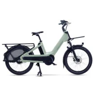 Achat Urban Arrow Breeze Green 545Wh -Val de Loire Vélo Tours