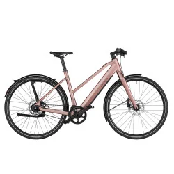 Achat Rise & Muller UBN Seven Silent Rose -Val de Loire Vélo Tours