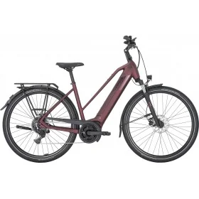 Achat Pegasus Solero Evo 9 500wh rouge rubis -Val de Loire Vélo Tours