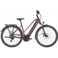 Achat Pegasus Solero Evo 9 500wh rouge rubis -Val de Loire Vélo Tours