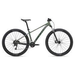 Achat Giant Talon 3 Pangea Green -Val de Loire Vélo Tours