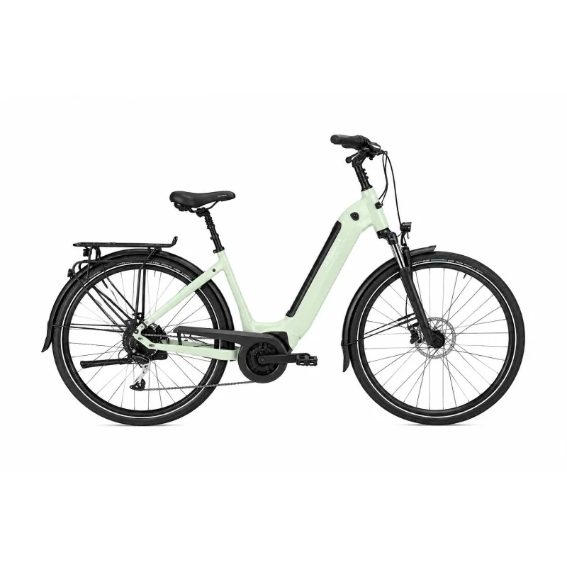 Achat Vélo de Ville AEB 890 Green -Val de Loire Vélo Tours