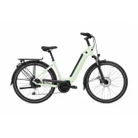 Achat Vélo de Ville AEB 890 Green -Val de Loire Vélo Tours