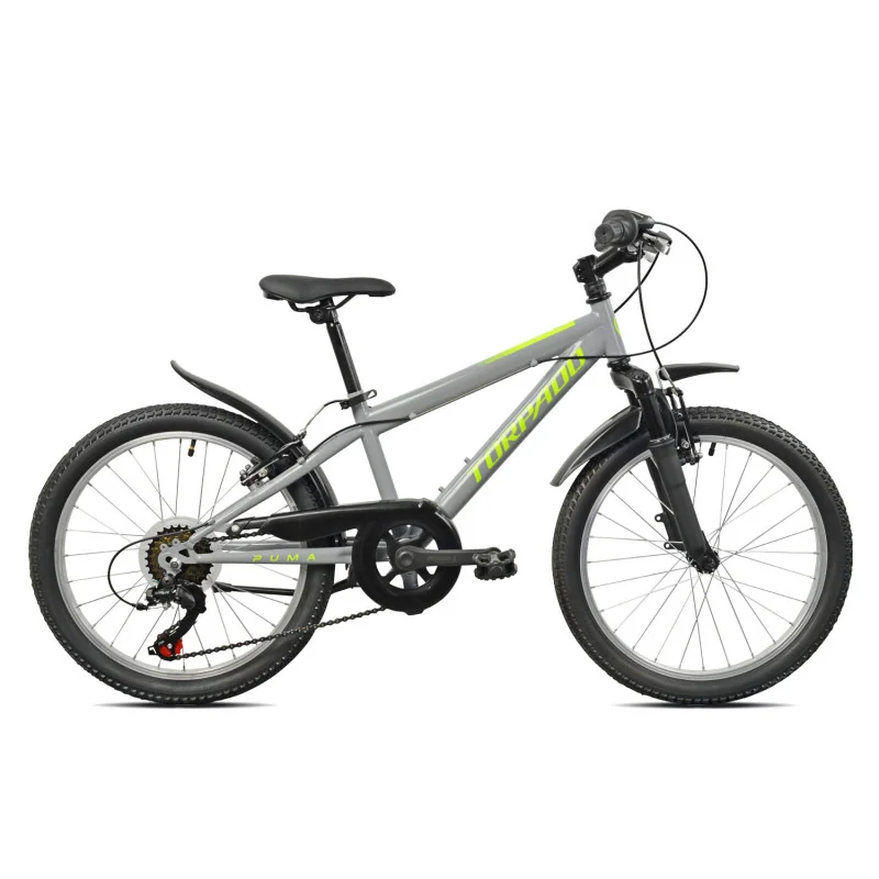 Achat Torpado Puma 20" 6v argent -Val de Loire Vélo Tours