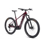 Achat Sunn Flash S2 29" 500wh bordeaux -Val de Loire Vélo Tours