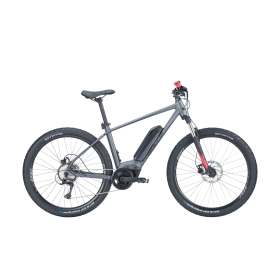 Bulls LT CX Evo 545wh gris mat