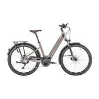 Achat Moustache Samedi 27 Xroad 3 Open Smart System 625wh -Val de Loire Vélo Tours