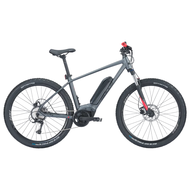 Achat Bulls LT CX 29" Diamant 725wh Smart System -Val de Loire Vélo Tours